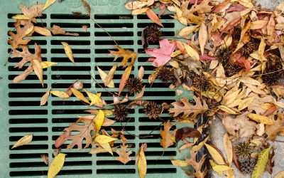 Quick & Easy Ways to Stop Fall Leaves from Clogging Drain