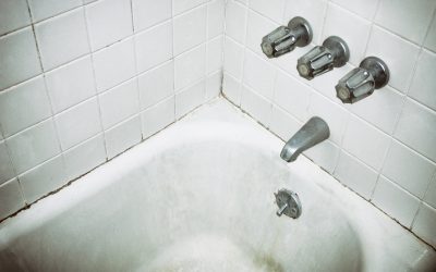 How to Clean Mold in Shower like a PRO!