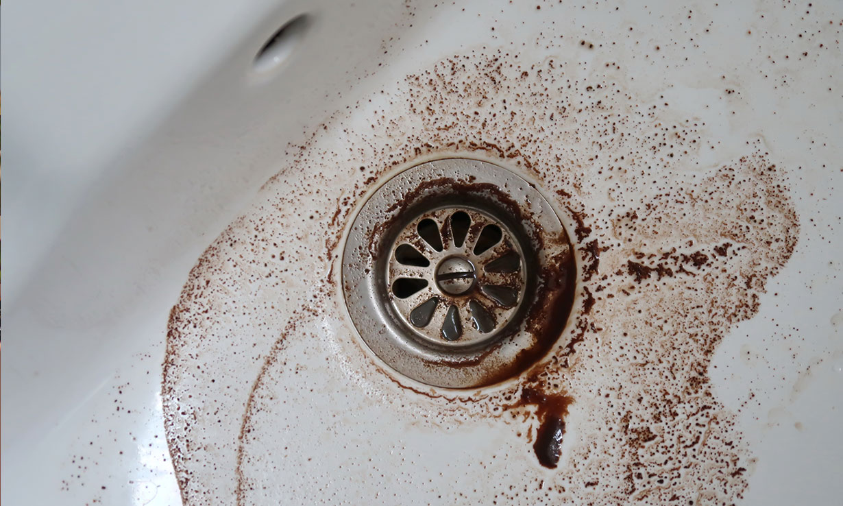 What happens if you put coffee grounds down the sink? 